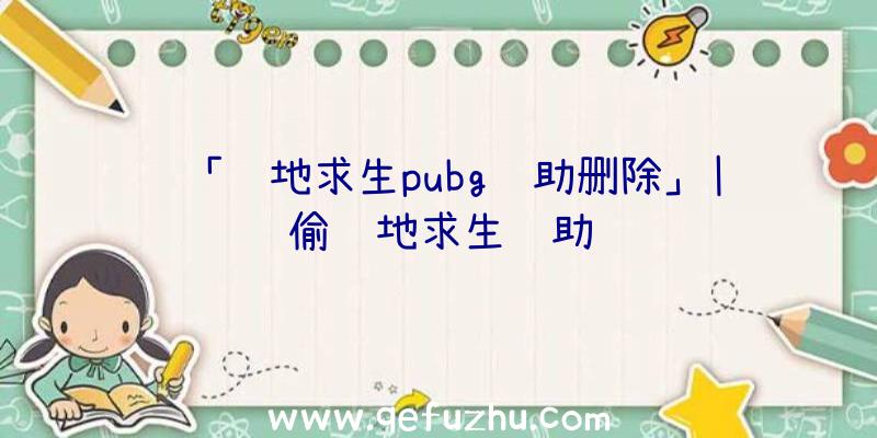 「绝地求生pubg辅助删除」|偷绝地求生辅助